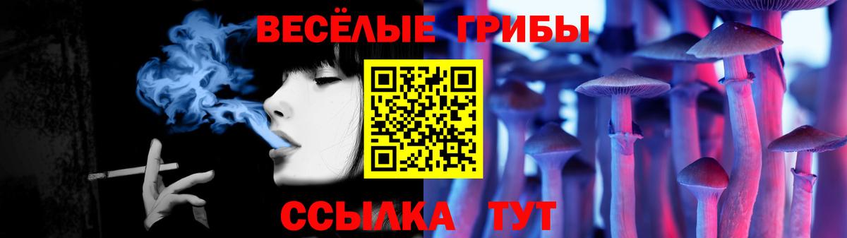 Псилоцибиновые грибы GOLDEN TEACHER Кисловодск